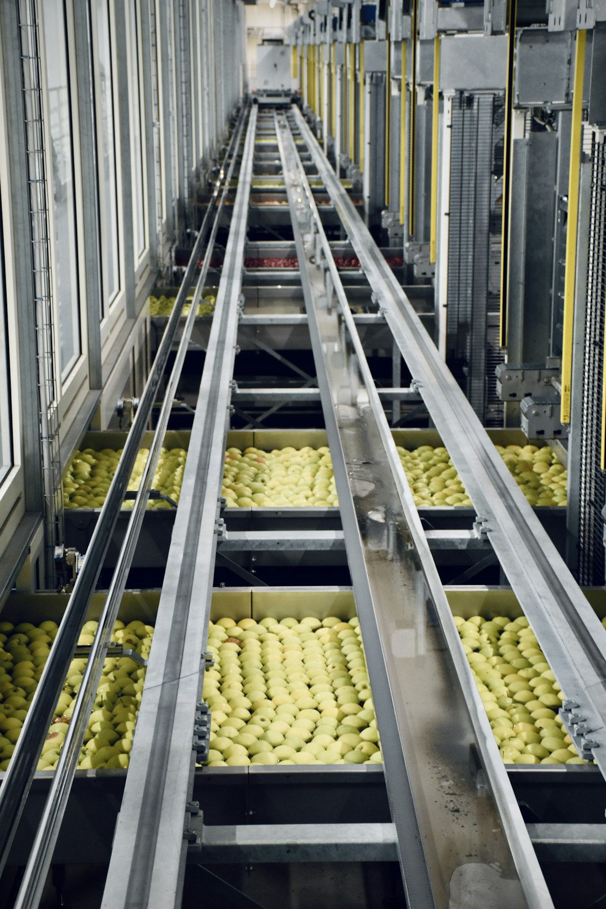 Intellyx manufacturing intelligence deployed in a food processing facility