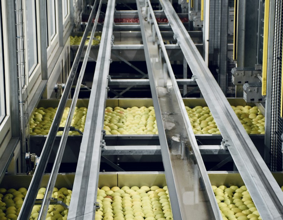Food Processing